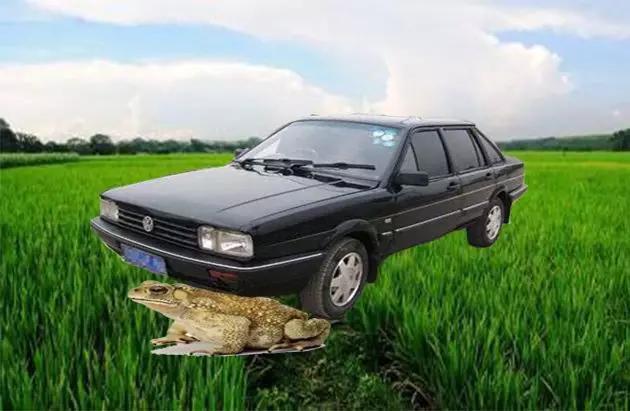 塑料日语句子,塑料日语谐音