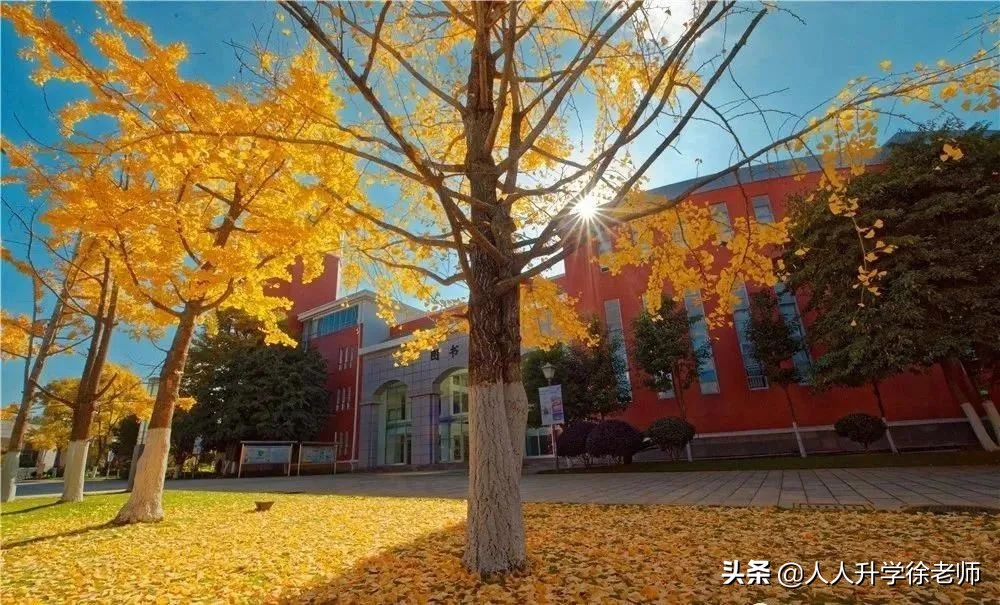 昆明昆三中教学质量,昆明市昆三中经开区分校招生简章