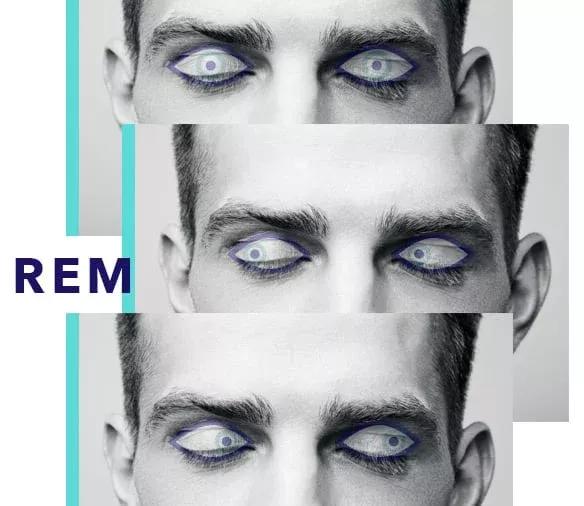 呃！人睡着后，会变冷血动物？睡觉会让大脑缩小20%？