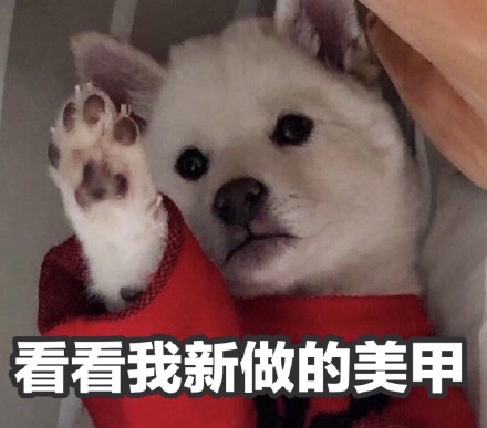 圣诞节表情包我想吃什么,圣诞节快乐表情包可爱