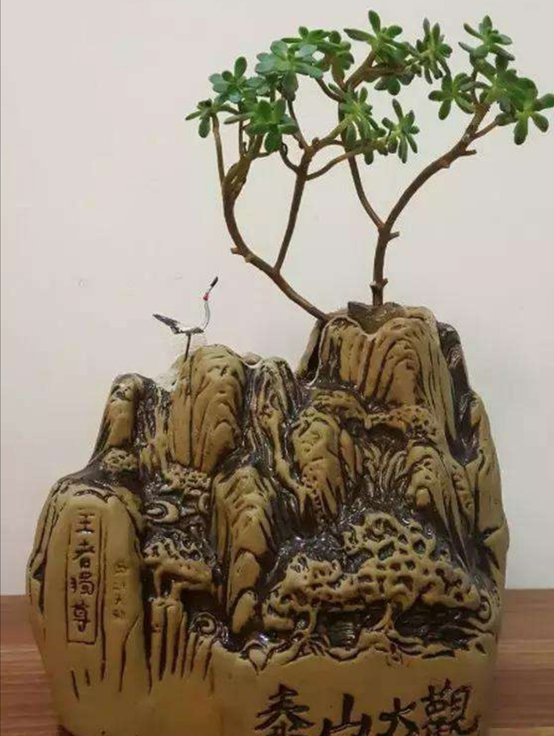 酒瓶切割做成花盆怎样打眼视频,从废旧酒瓶到创意花盆的华丽转身