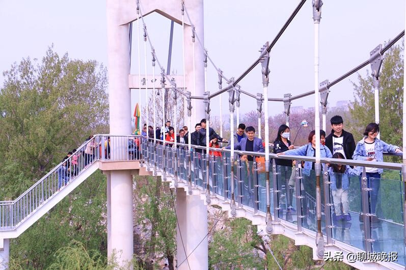 樱花王国樱花节,樱花盛开节