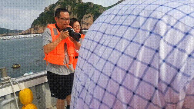 死掉的贻贝能吃吗,只有一边壳的贻贝能吃吗