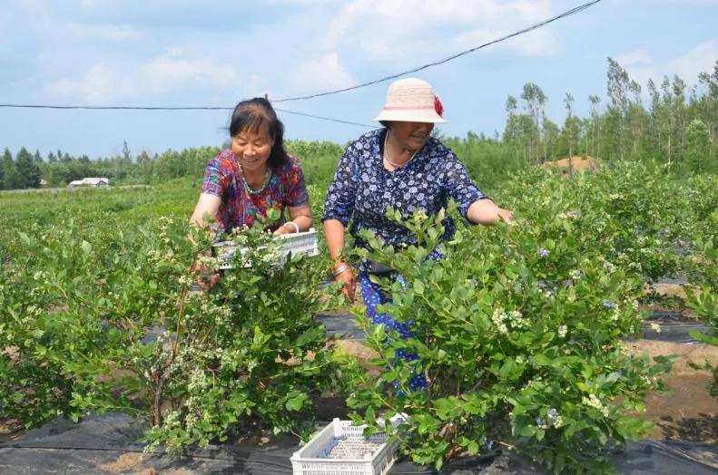 吉林市：一个贫困村的脱贫与“国家级贫困县”靖宇的“摘帽”