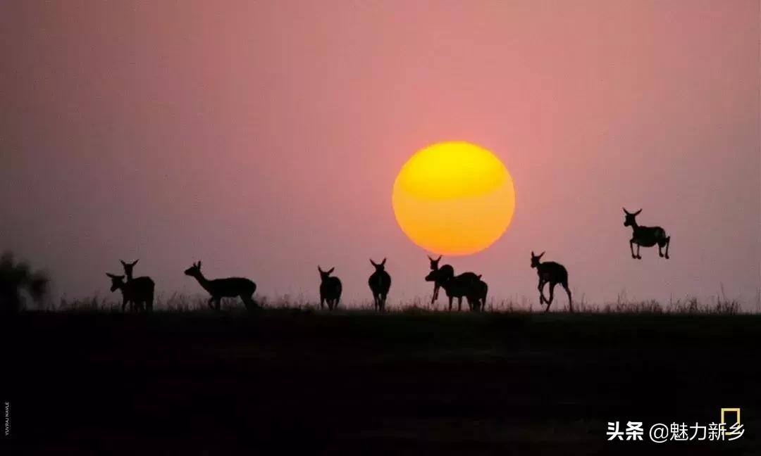 美国国家地理杂志2020摄影作品,美国国家地理杂志摄影展