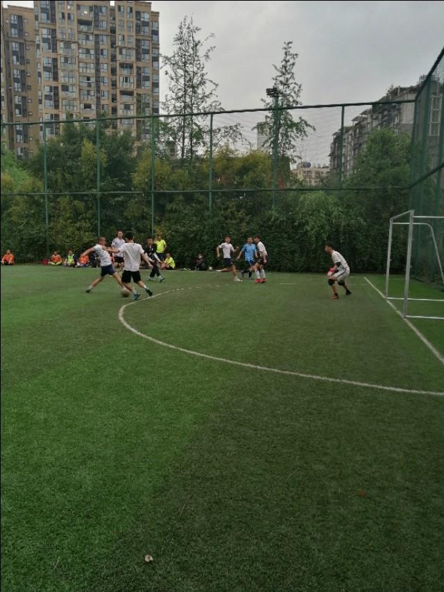 感动催泪瞬间体育,足球感动瞬间老爷爷