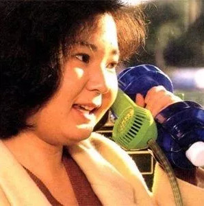 自拍杆是日本人发明的吗,日本自拍杆无用发明