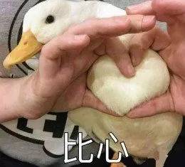 打底袜怎么挑,打底袜怎么挑选搭配才能摆脱俗气