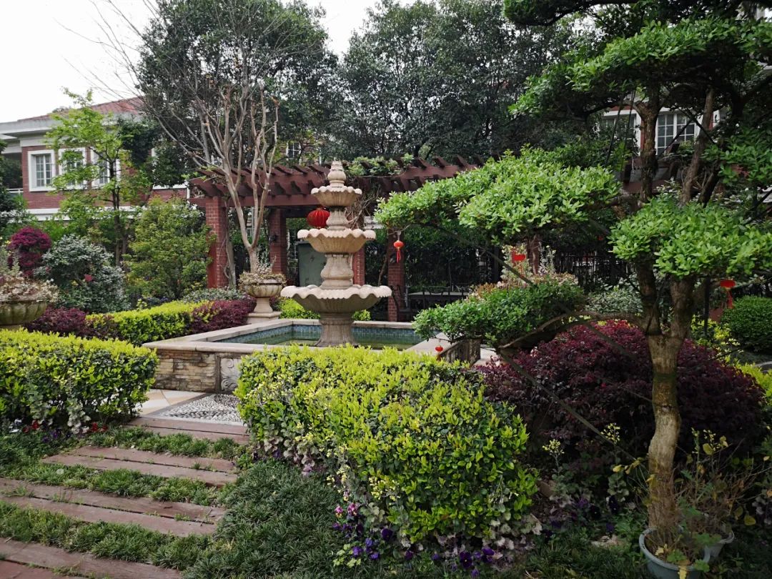 羡慕!快来看看江阴申港街道这些“美丽”榜样