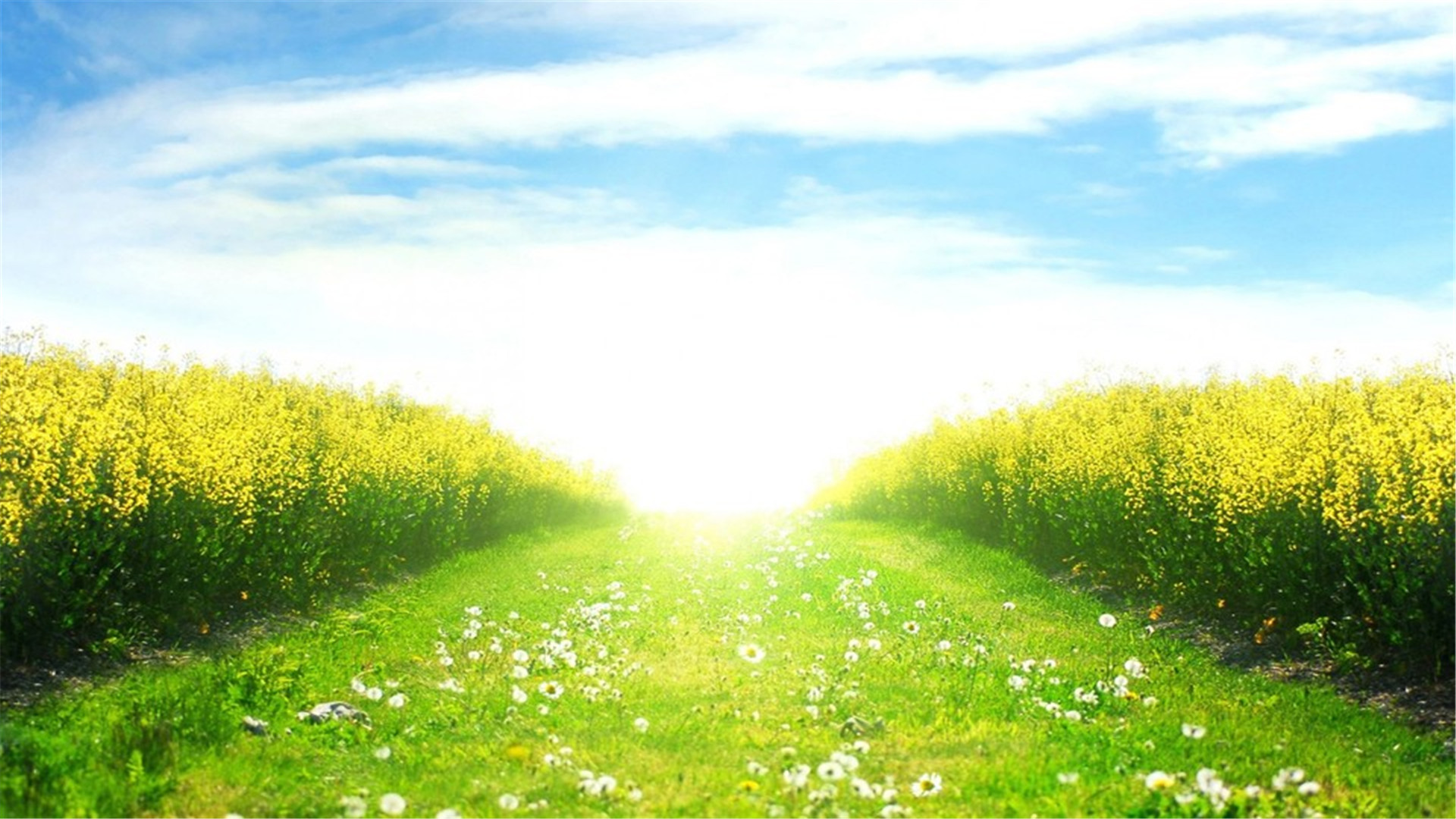 蓝色护眼壁纸唯美图片,最美的护眼桌面壁纸