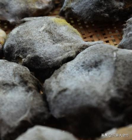 家庭自酿黄豆酱（酱油）-感受食品发酵的神奇