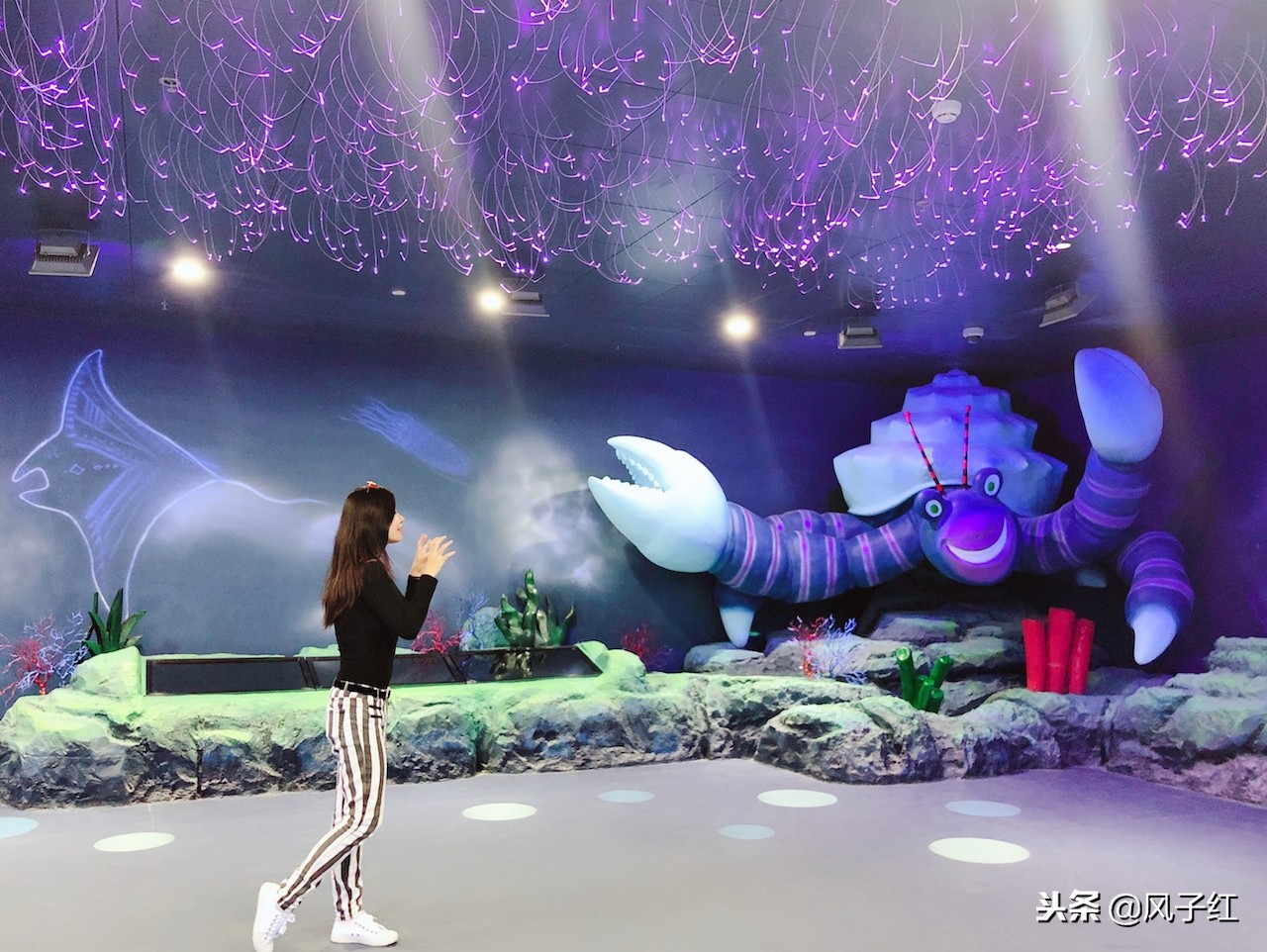 上海新地标丨海昌海洋公园一日游园玩法攻略