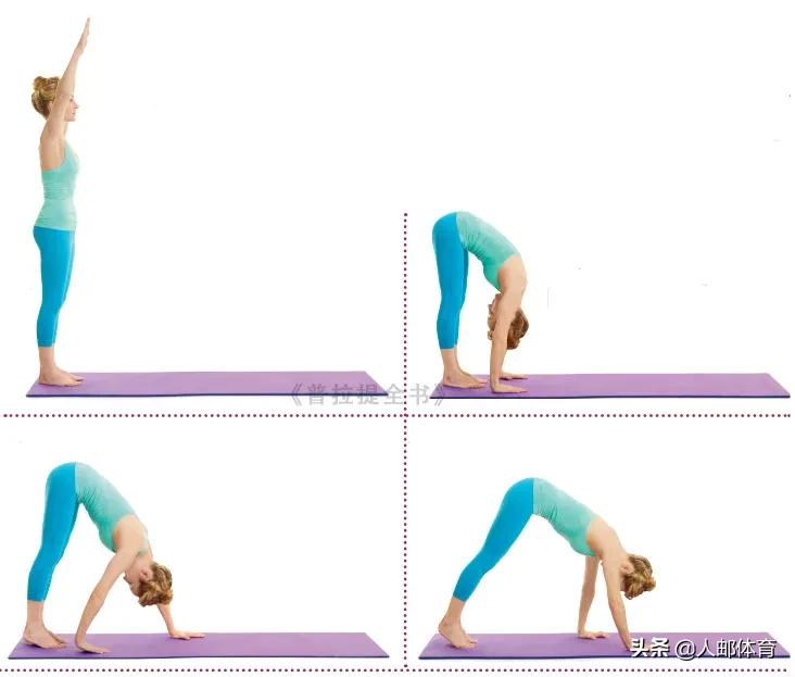 平板支撑普拉提,普拉提平板侧屈抬腿动作