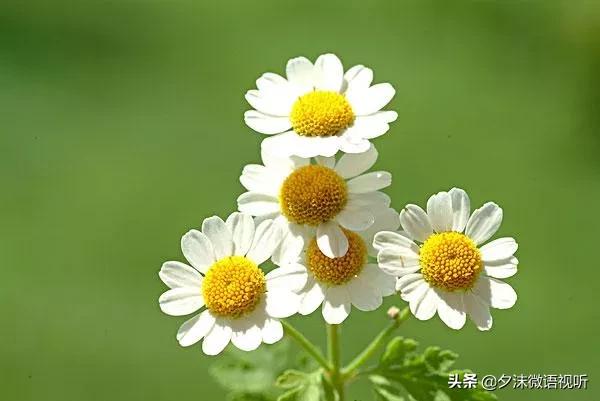 入冬的第一场大雨如约而至,一秒入冬让人措手不及还没买外套