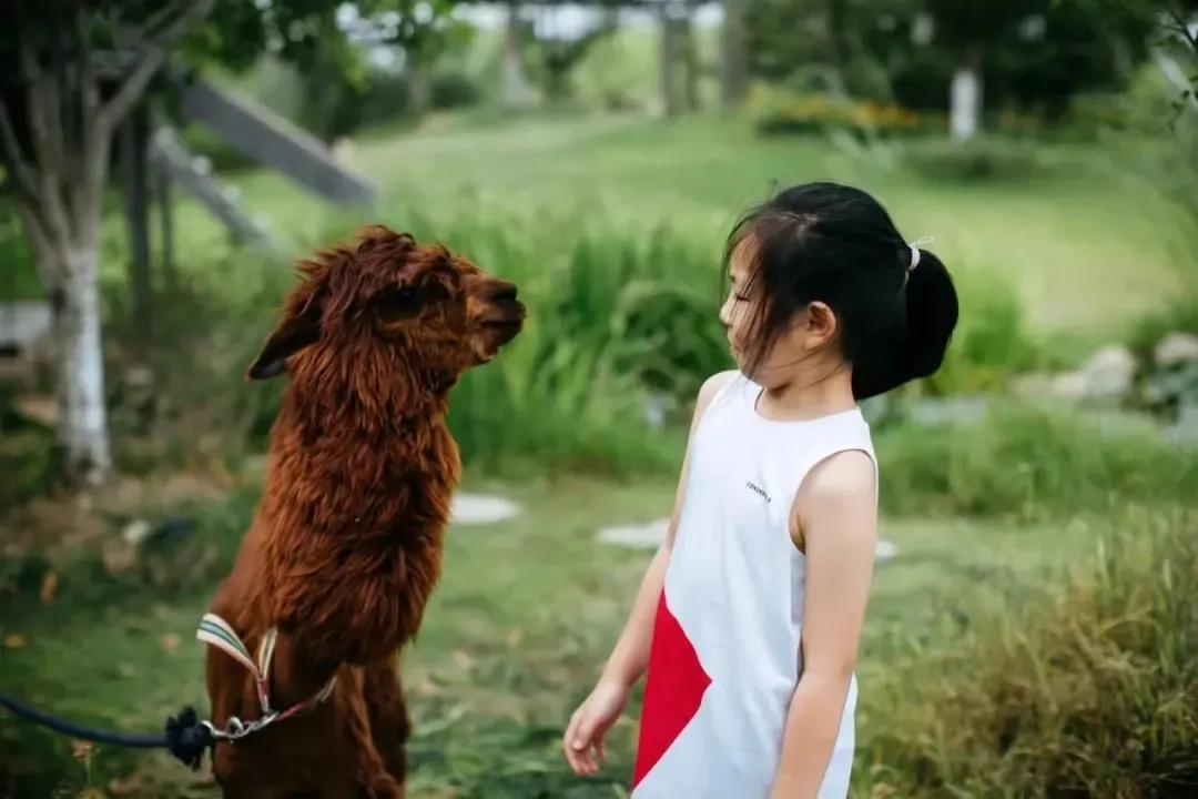 用低成本打造高颜值农场,广东夫妇超省钱