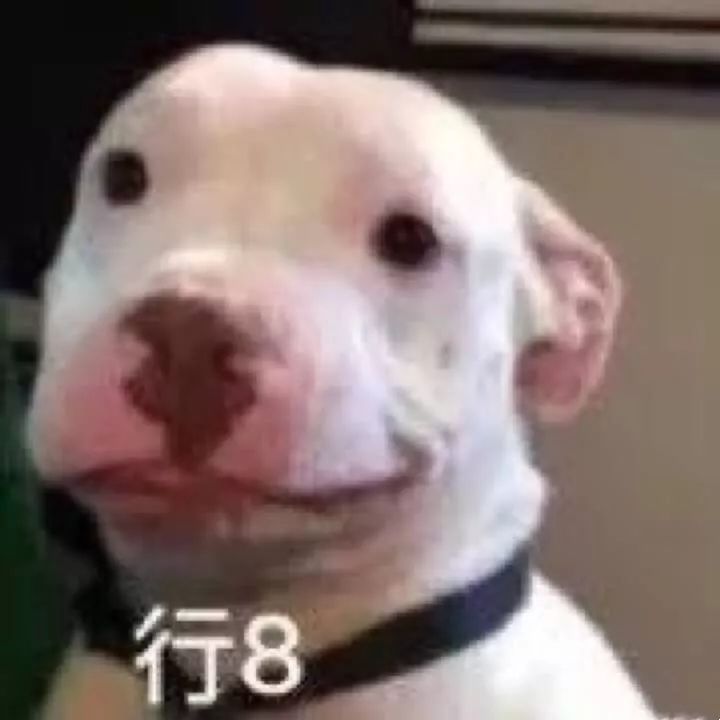 gucci搞怪版gucci,gucci爆款合集