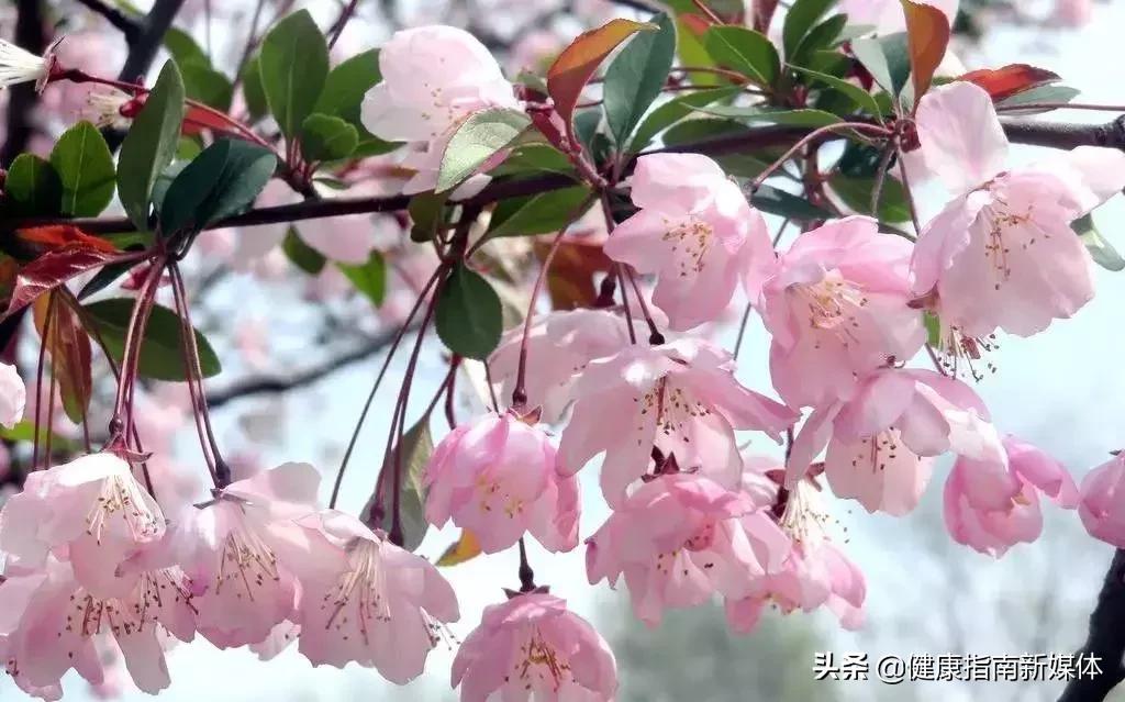 超实用肛肠保健操,专治肛肠病的保健操