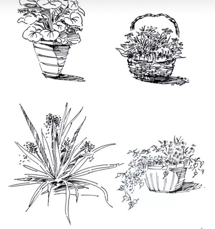 入门风景速写1000例临摹图,风景速写教你超简单的树木画法