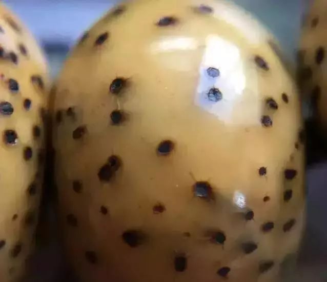 有玻璃底的手串可以直接用手盘吗,紫檀手串多久能盘出玻璃底