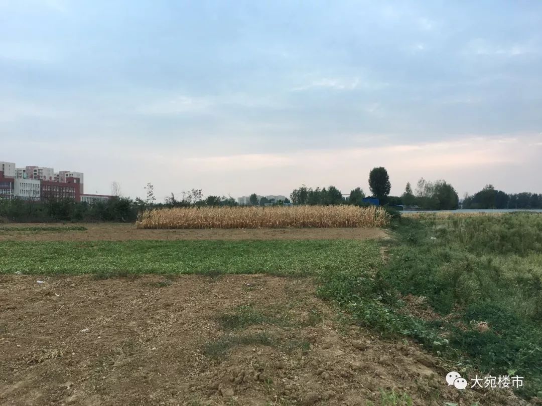 南阳三馆一院是不是每天都开,南阳三馆一院平时人多不