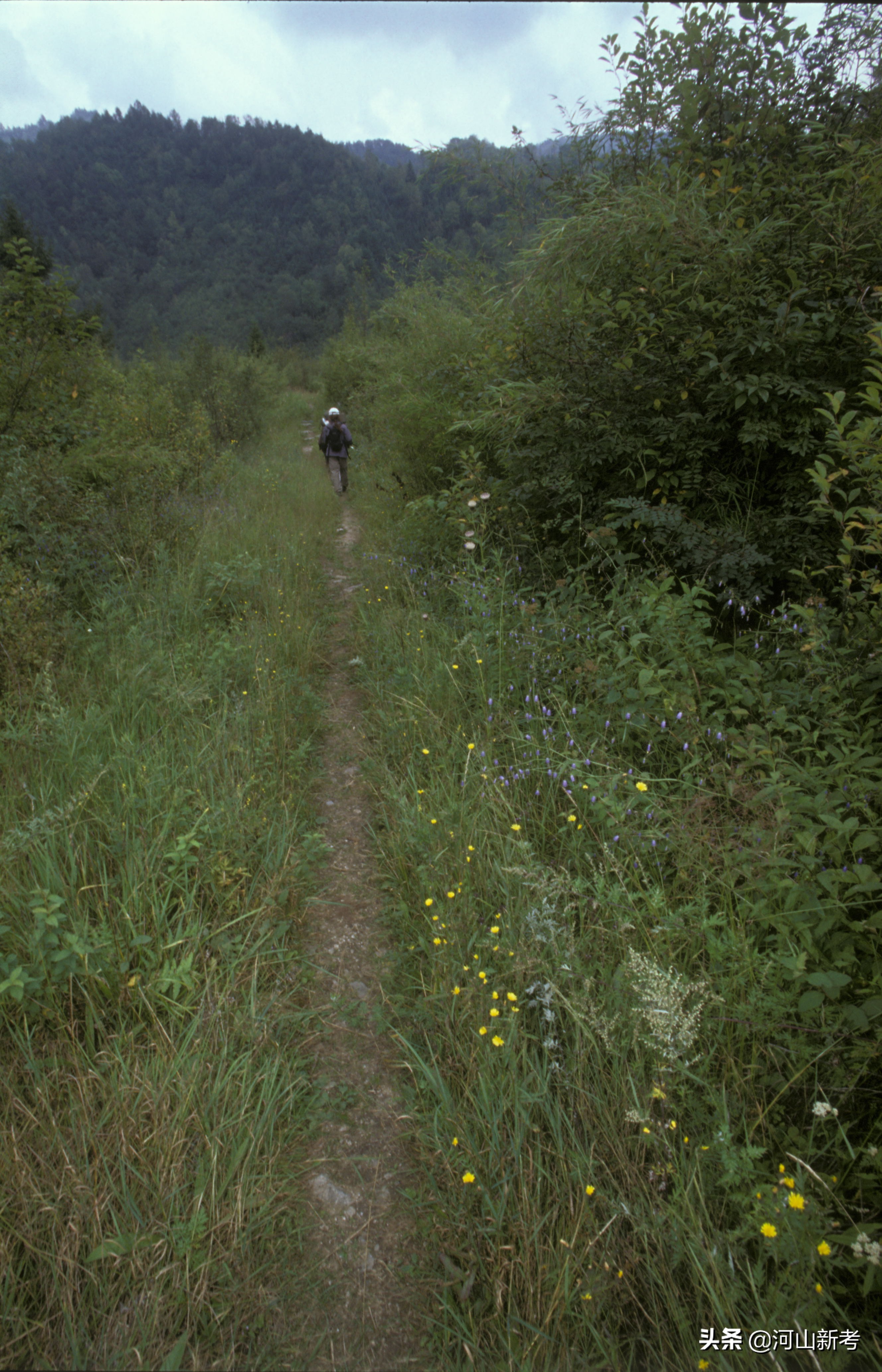 古栈道是如何修建的,古栈道是怎么建造的