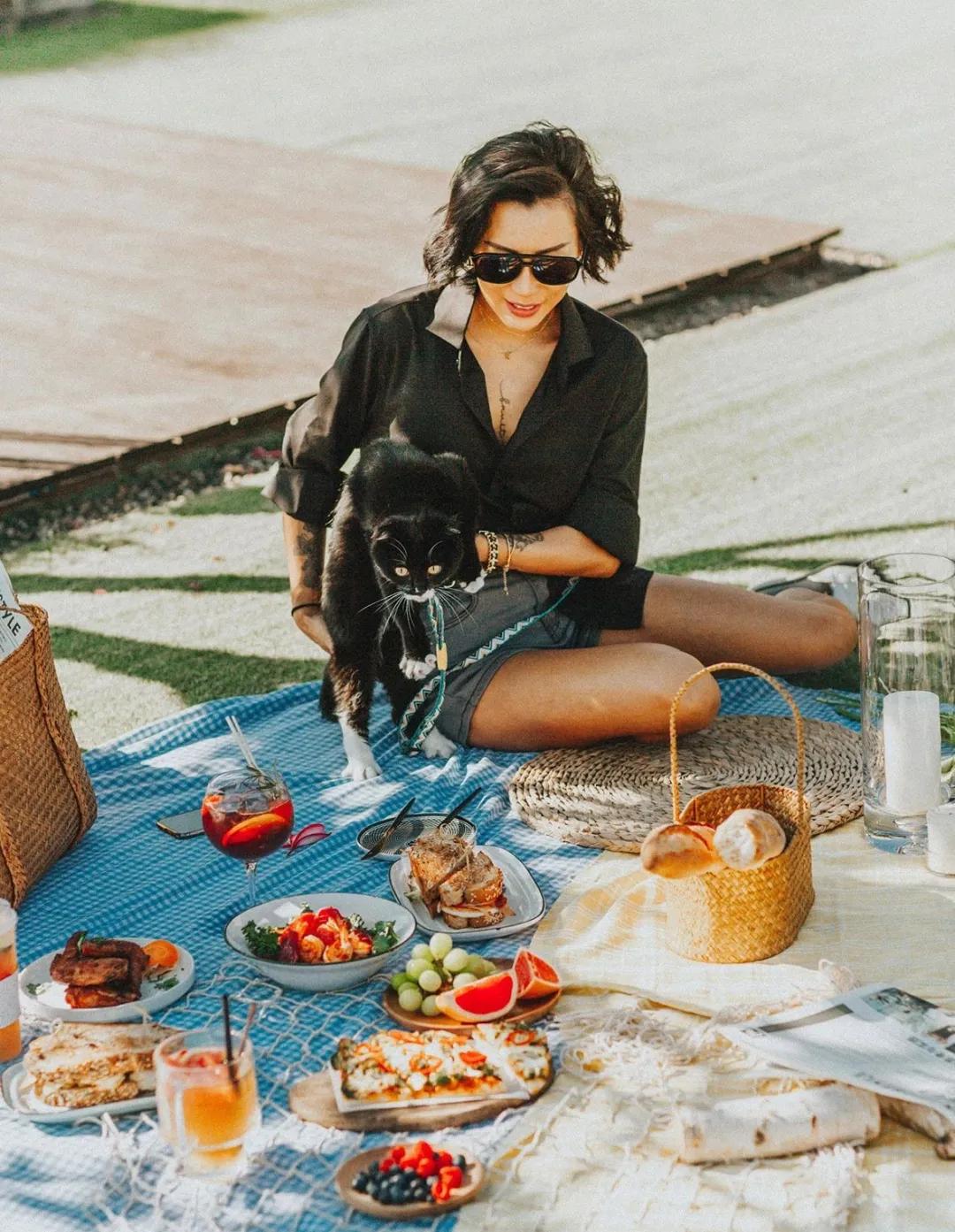 爱宠大机密作战计划,爱宠大作战作战计划