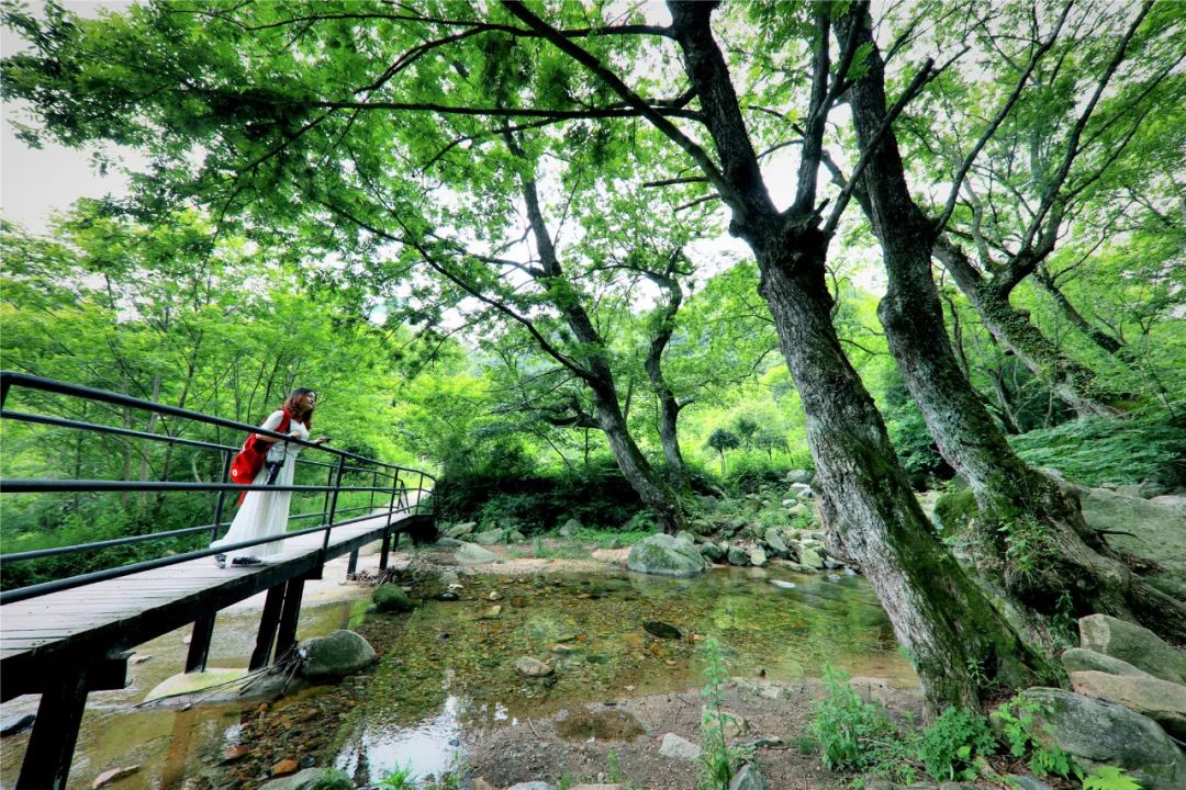 16℃的夏天,26亿年前形成的峡谷,奇山瀑布,全藏在六安天然氧吧