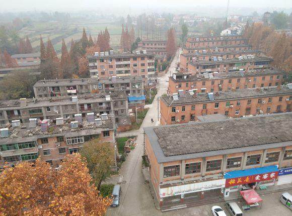 新疆小三线红星厂,上海三线红星厂