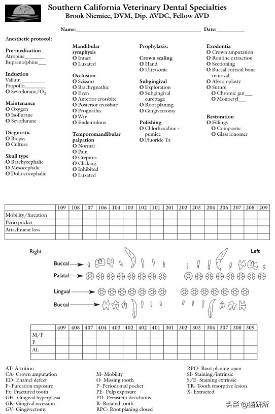 有100只猫该咋办,猫舍的猫全部得口炎了怎么办呢