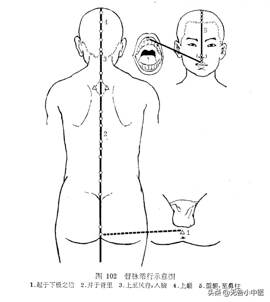 倪师针灸督脉视频,针灸推拿学的基本认知