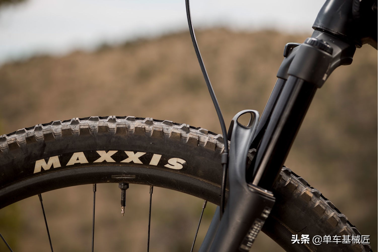 捷安特自造佳洁士前叉是贴牌的吗,捷安特佳洁士前叉线控