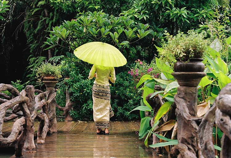 西南西双版纳,西双版纳原始森林氧吧