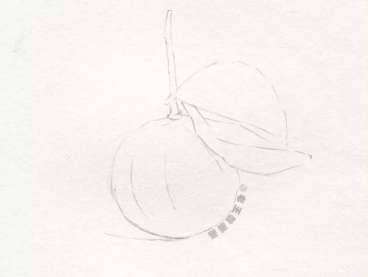 会画画的都会画素描吗,有的人说我不会画素描