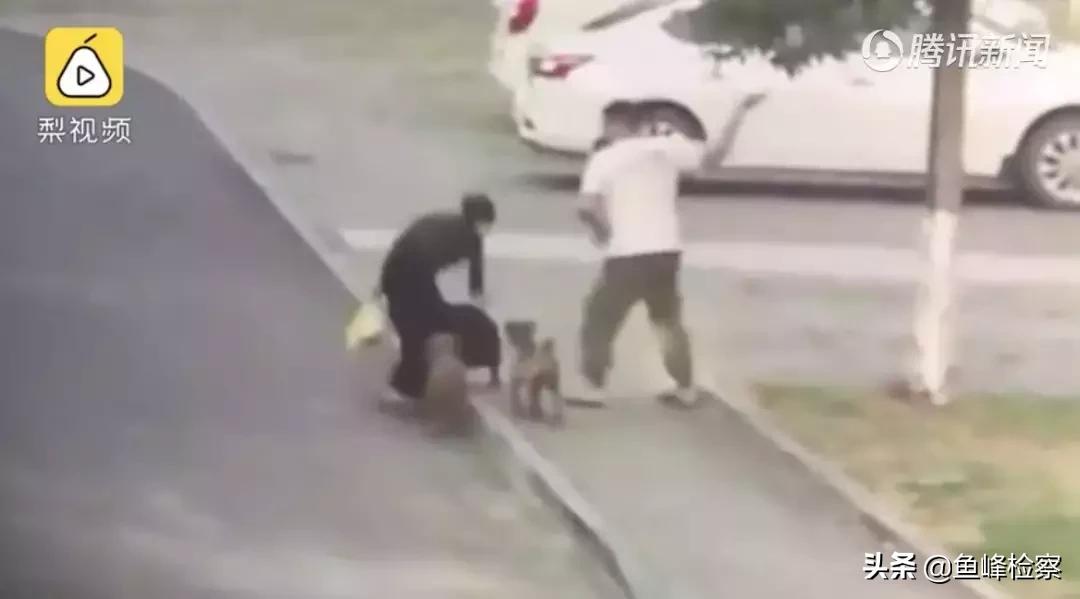 遛狗不牵绳又惹祸！男子遭狗撕咬*体下**被缝30多针……视频触目惊心