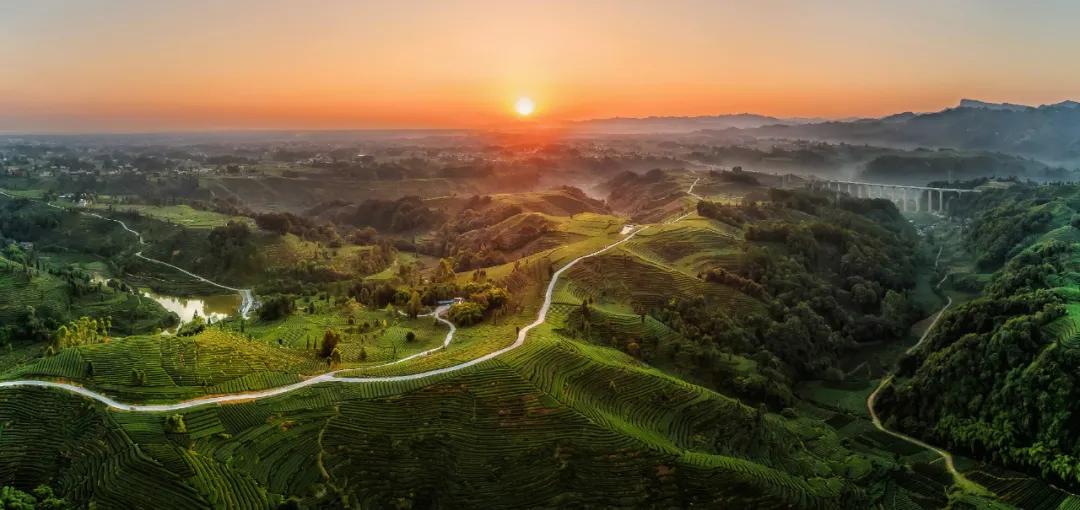 雅安这几天发生的车祸,这就是雅安原版