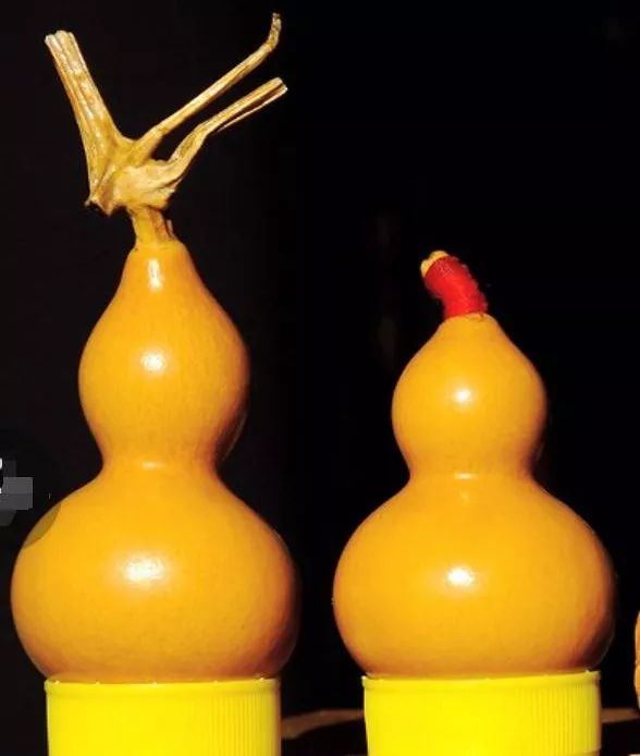 文玩手捻葫芦怎样快速盘红,文玩葫芦盘出最好的效果