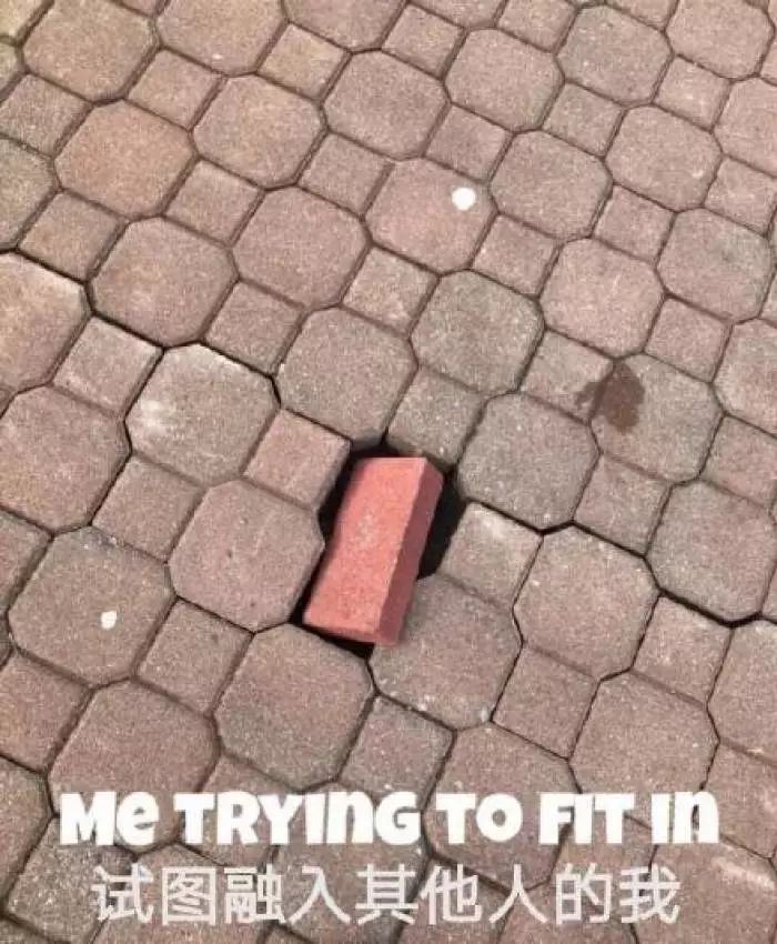 老师与家长尬聊,老师与70岁家长尬聊