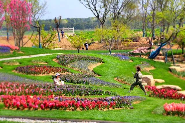 南京市溧水区三叶梦华苑,溧水梦华苑最新消息