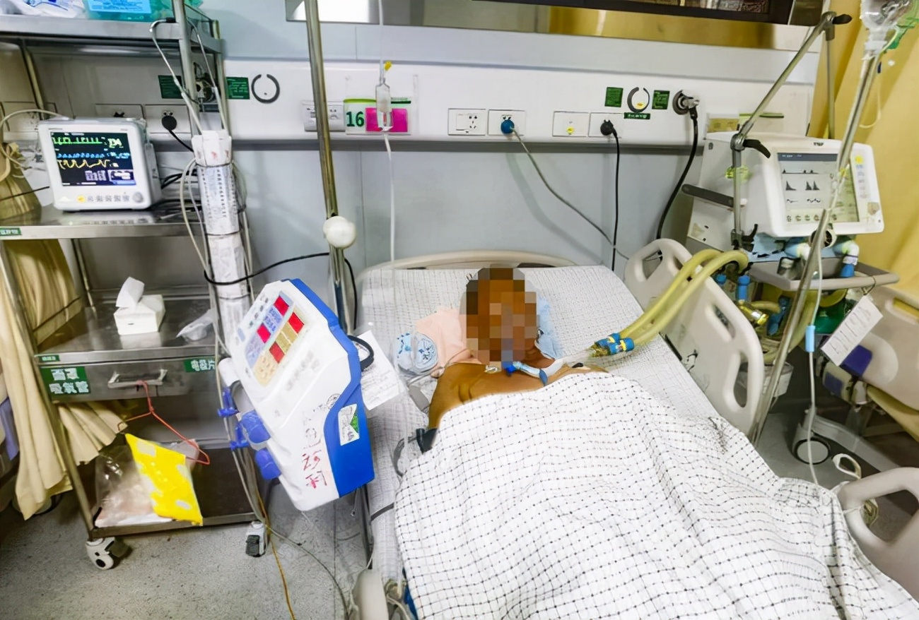 3米长眼镜王蛇爬进农户家中,2.4米眼镜王蛇闯入村民家纳凉