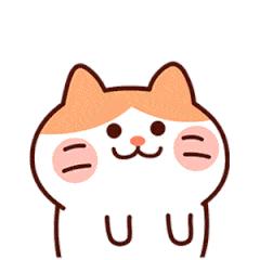 驾校好的口碑靠什么,学员反馈好评大全