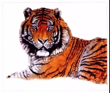 国画学不会怎么办,国画不知道怎么练习