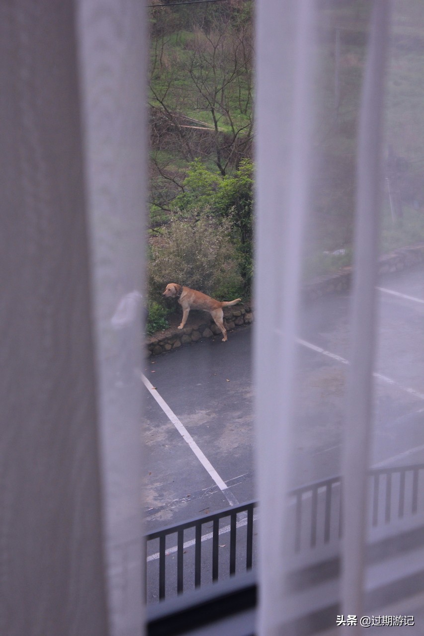 安吉大竹海旅行,冬季安吉大竹海景区