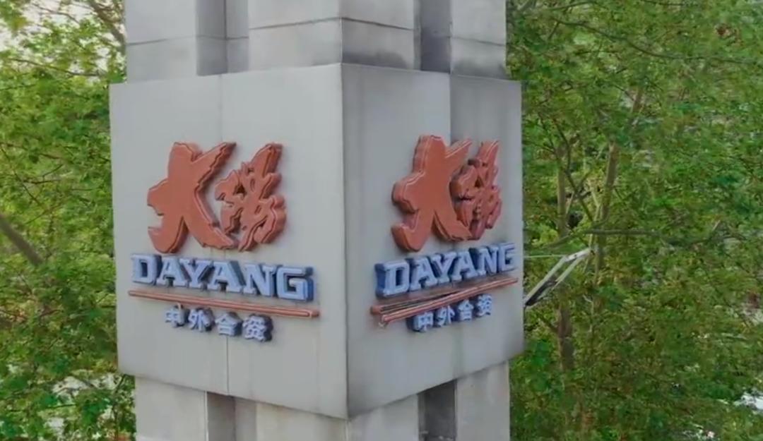 大阳深度评测,大阳解读