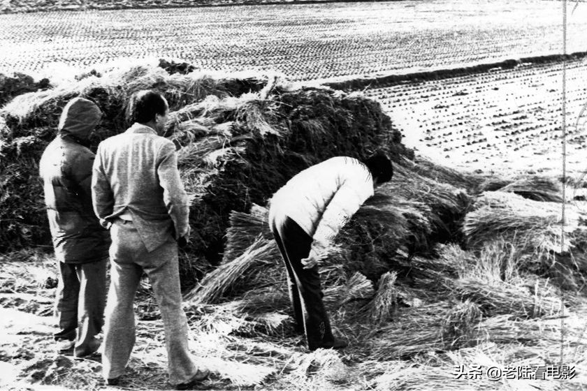 韩国电影杀人回忆到底谁是凶手,杀人回忆韩国电影完整版在线观看