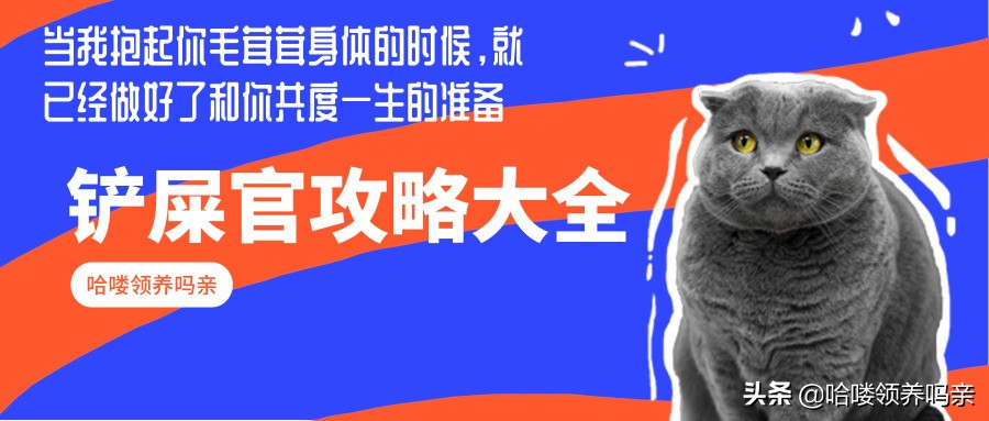 狗狗呕吐的背后，隐藏着多少不为人知的病情？不是每一种都能忽略