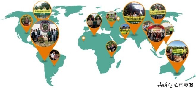 鲜丰水果品牌加盟,鲜丰水果品牌定位