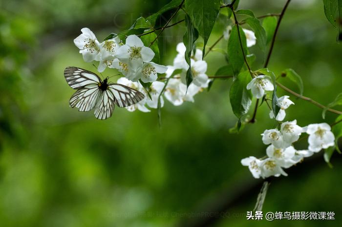 松下全画幅微单s1评测,松下s1全画幅微单拍摄视频