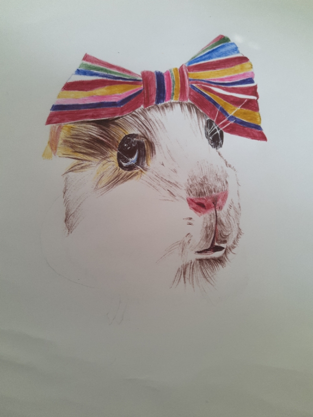 仓鼠食盆简笔画,仓鼠简笔画团子