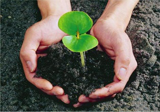 目前适合在农村创业的项目有哪些,十大最适合农村创业项目