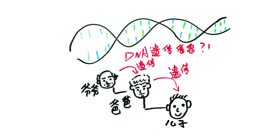 如果基因被破解会有什么后果,人类基因被破解的危害